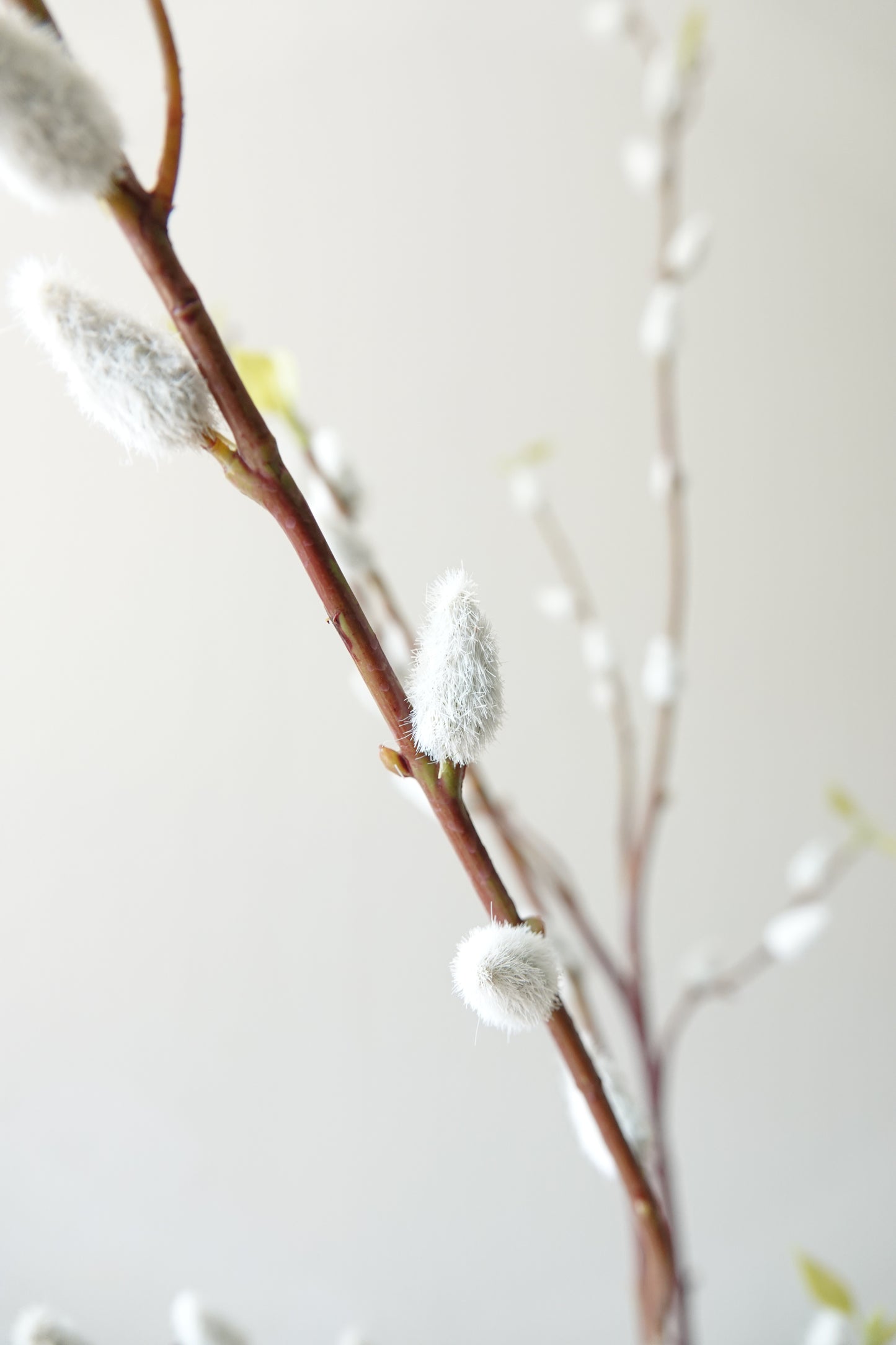 detailfoto set Kate als sfeerimpressie