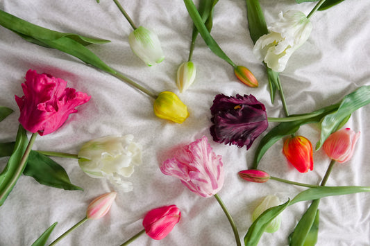 Fleuramour tulpen meerkleurig