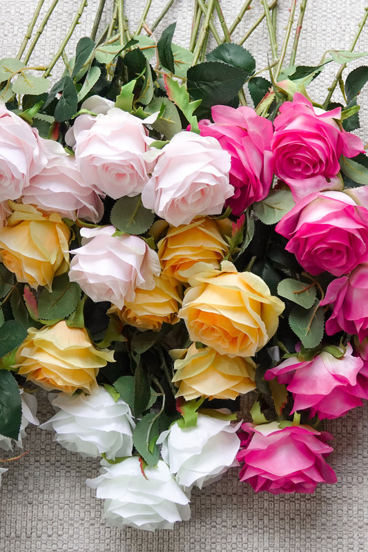 Rozen vier kleuren liggend sfeerbeeld