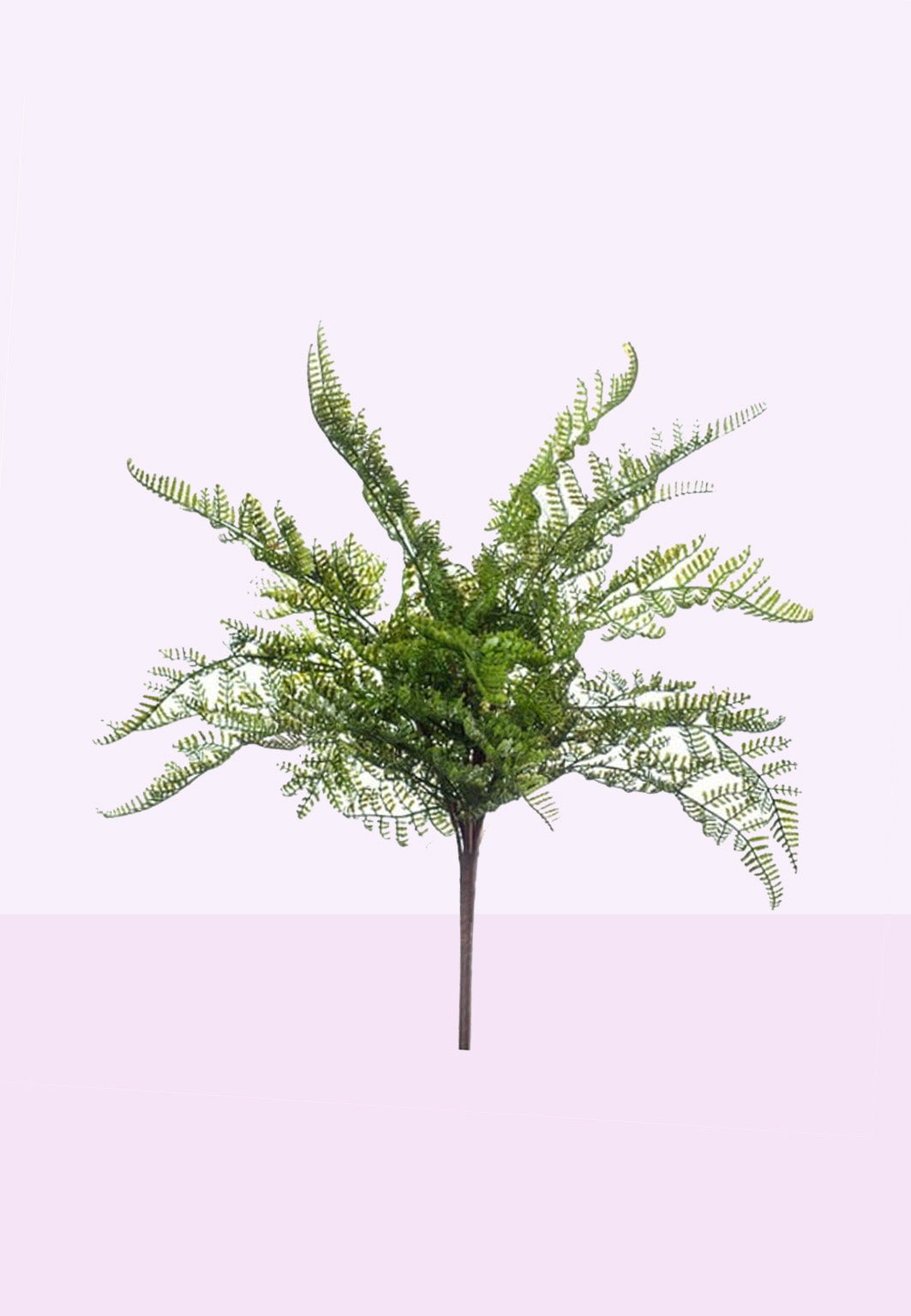 Steker varen productfoto