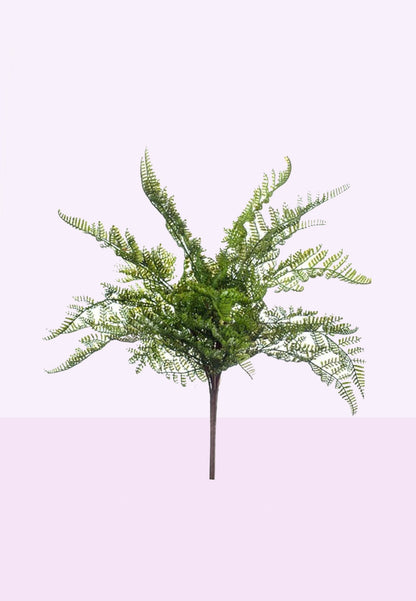 Steker varen productfoto