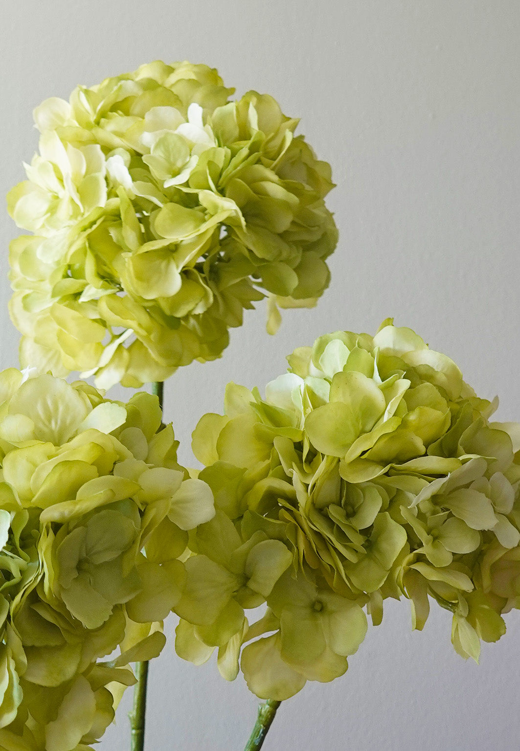 Zijden hortensia sfeerimpressie close up