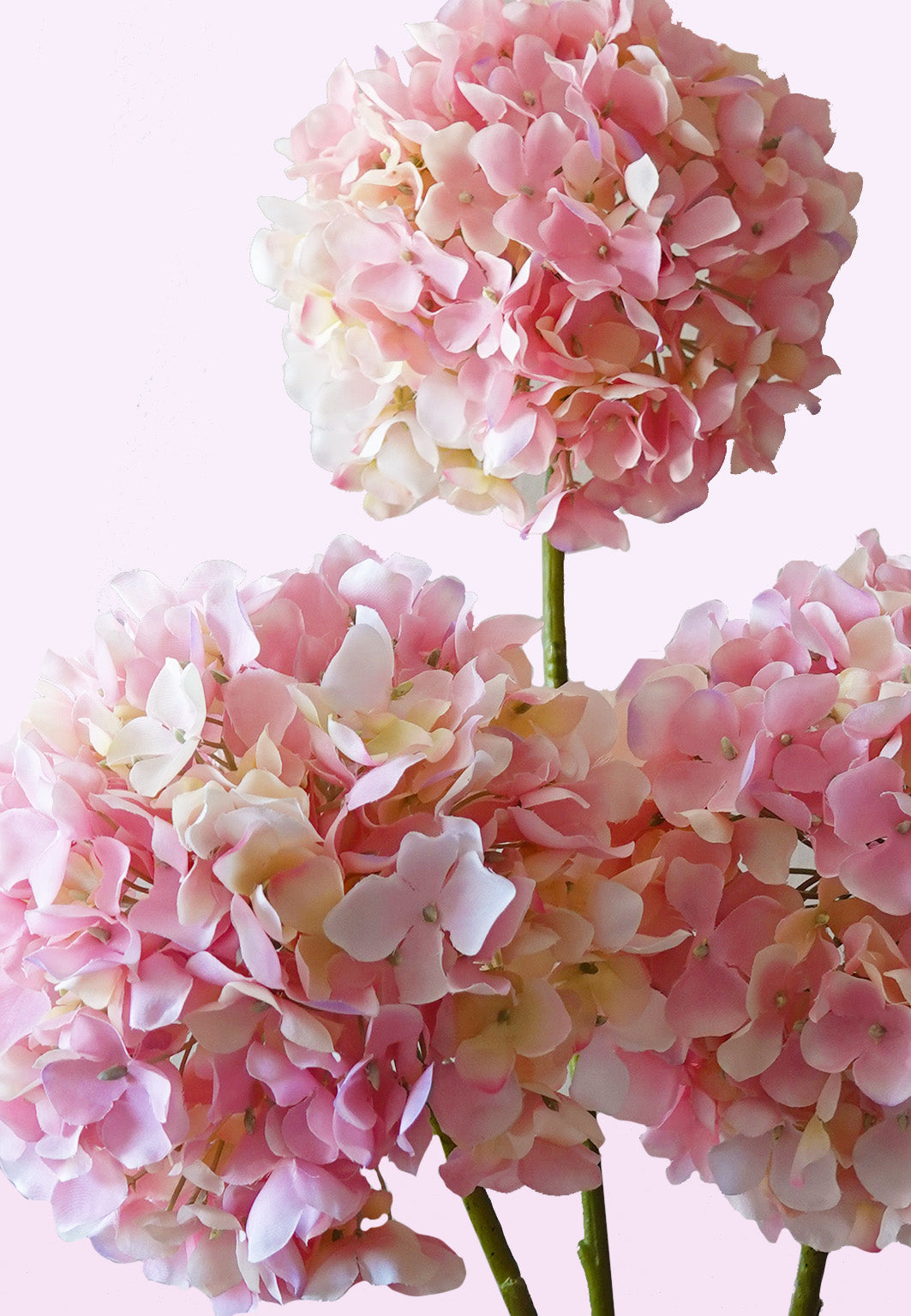 Zijden hortensia roze sfeerimpressie